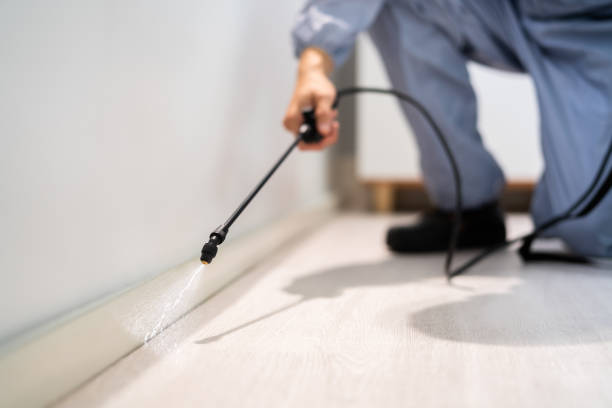 Licensed Termite Control service in Winnsboro, SC - Nex Pest Control