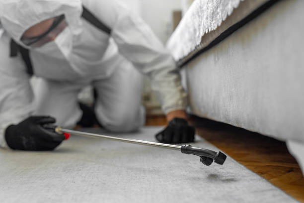 Professional Termite Control technician working in Winnsboro, SC