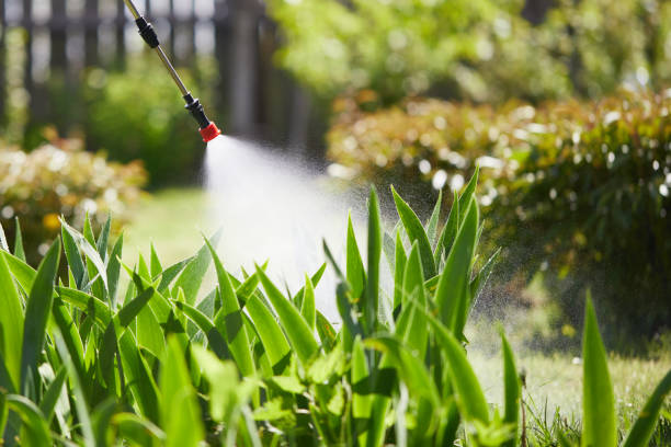 24/7 Emergency Termite Control experts in Winnsboro, SC