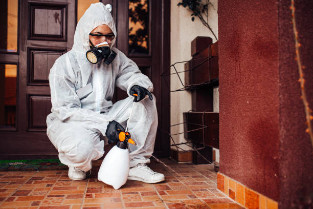 Reliable Termite Control contractor in Winnsboro, SC by Nex Pest Control
