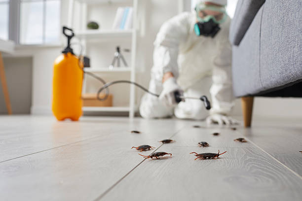 Trusted Mosquito Control service in Winnsboro, SC - Nex Pest Control